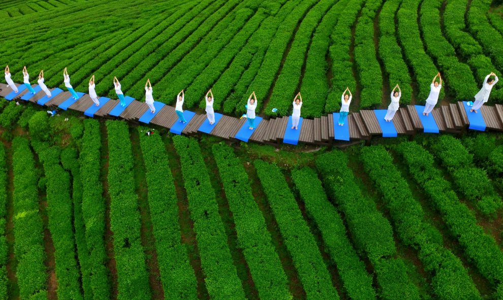 Varias personas practican yoga en un parque de té en Enshi, China.  REUTERS/Stringer