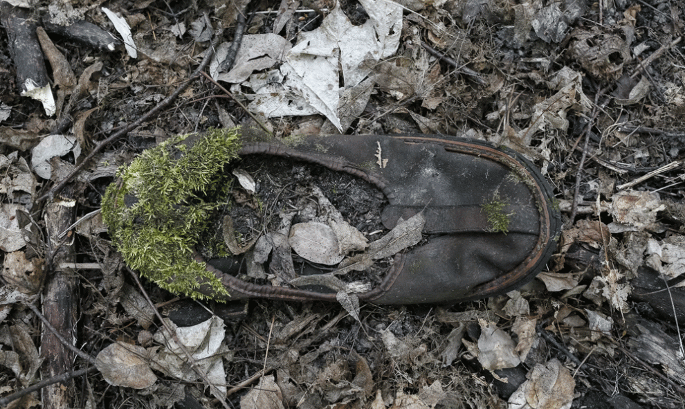 El musgo crece en la zapatilla de un niño 30 años después de la explosión de la central nuclear de Chernóbil en Pripyat, Ucrania. REUTERS/Gleb Garanich