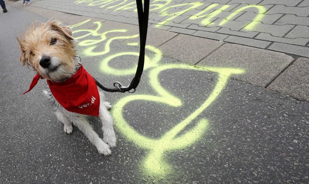 Un perro, con una bufanda roja con el logotipo de la unión Verdi, durante una huelga en el aeropuerto de Frankfurt, Alemania. REUTERS/Kai Pfaffenbach