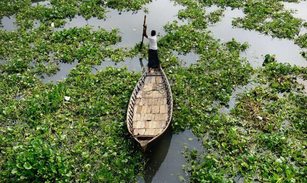 Un barquero de Bangladesh navega entre plantas de jacinto en el río Buriganga durante una huelga convocada por el partido político religioso Jamaat-e-Islami. AFP