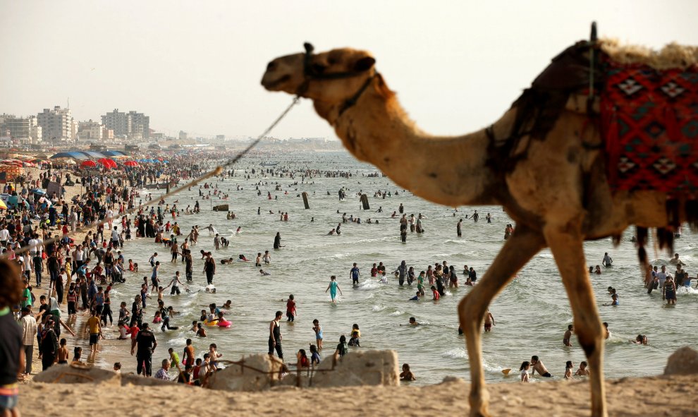 Un camello pasea por la playa mientras los palestinos disfrutan del fin de semana en el mar Mediterráneo en la costa de Gaza. REUTERS/Mohammed Salem