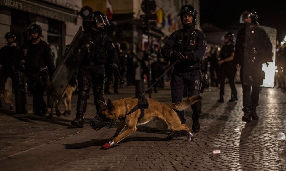 Una hilera de policías con un perro hace una redada en busca de ultras violentos en Marsella. /EFE