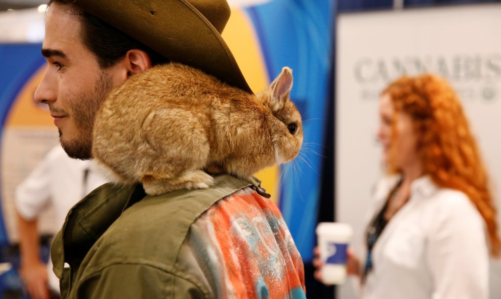 Un asistente permanece con un conejo en el hombro durante el Congreso Mundial del Cannabis en Nueva York, Estados Unidos. REUTERS / Lucas Jackson