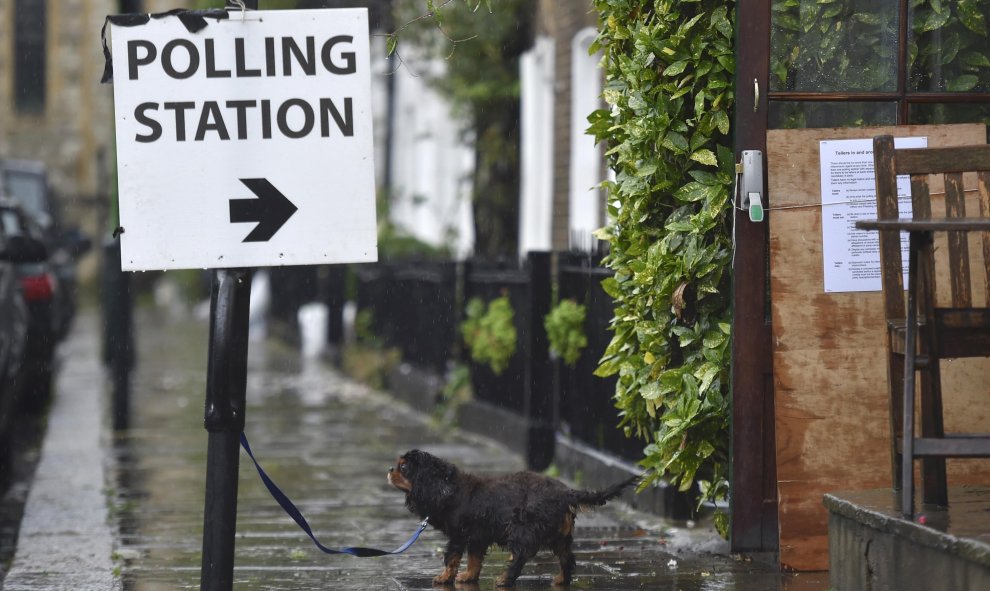 Un perro en la salida del punto de votación, en Londres