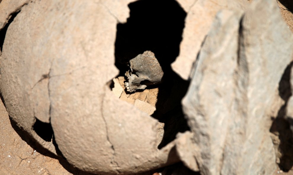 La calavera de un niño, encontrada en el cementerio Falyron Delta, dentro de una vasija de cerámica, una práctica común a la hora de enterrar a niños en la antigua Grecia. REUTERS/Alkis Konstantinidis