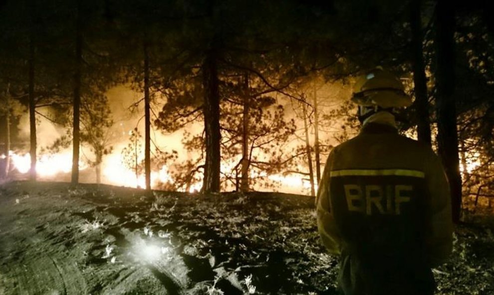 La Asociación de Trabajadores de las Brigadas de Refuerzo contra Incendios Forestales (BRIF) contribuye en las labores de extición del incendio forestal en la isla de Palma. EFE