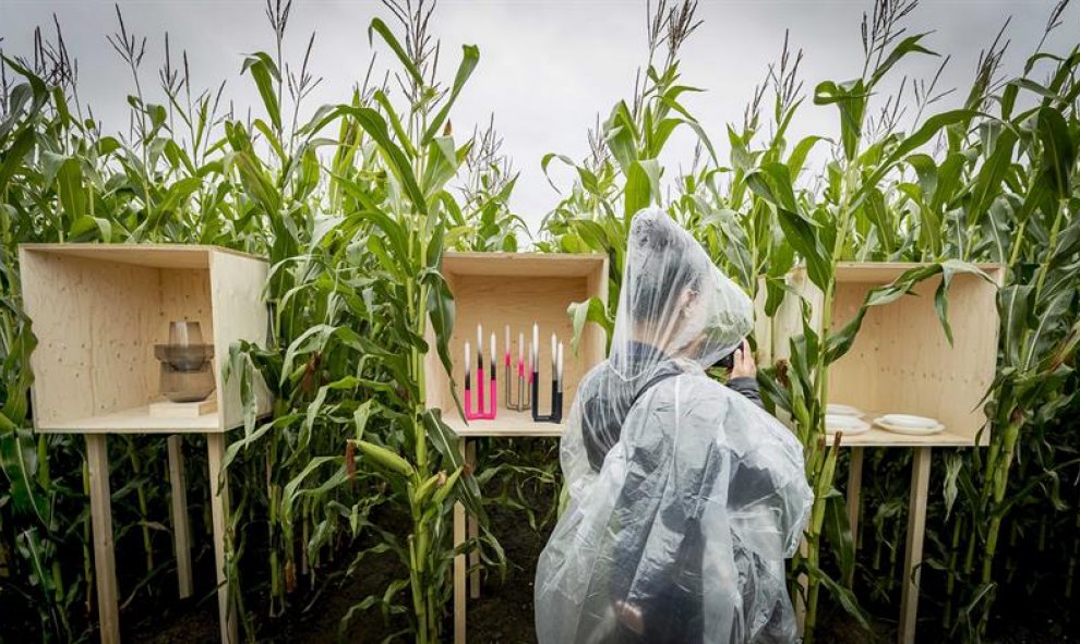 Una visitante observa varias piezas de menaje del hogar del catálogo de IKEA 2017 durante la presentación del ejemplar en un maizal en Niewveen (Holanda). EFE/Remko De Waal