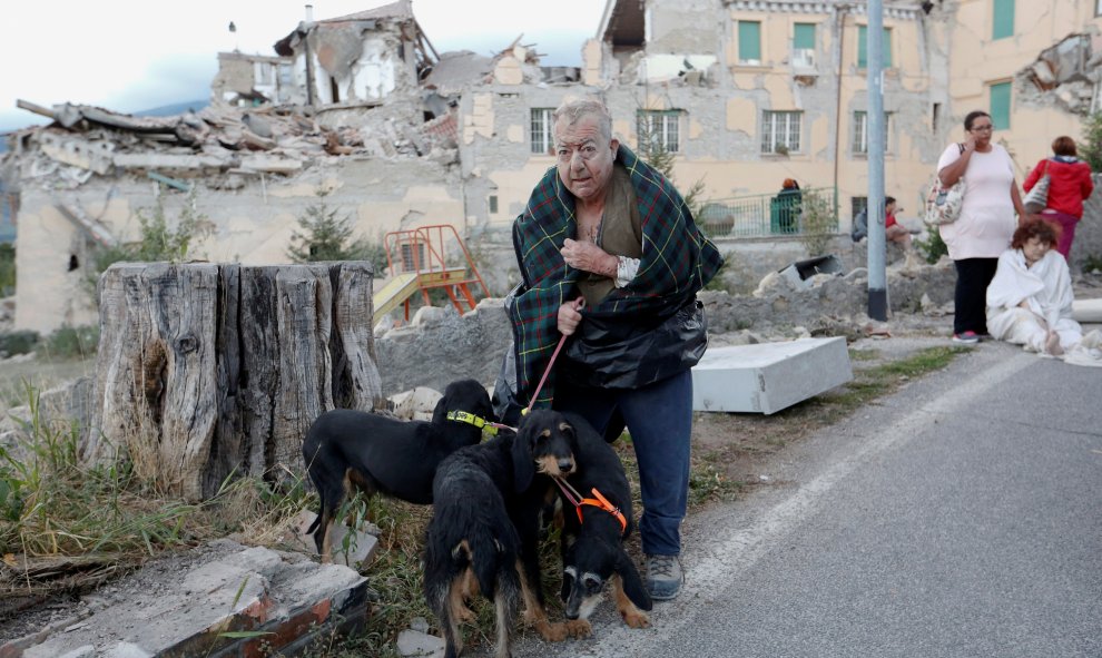 Un hombre pasea a sus perros tras el terremoto de Amatrice, Italia central. REUTERS/Remo Casilli