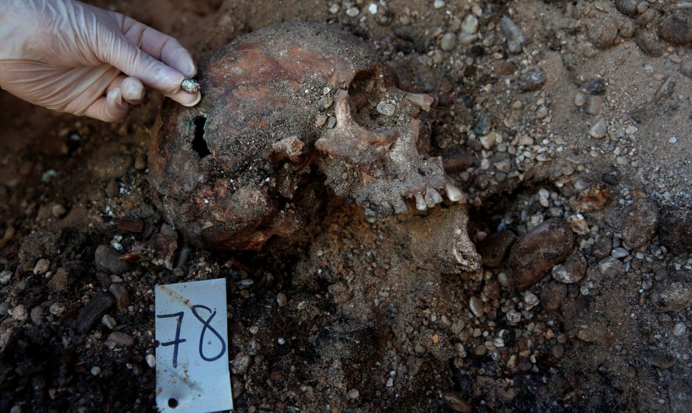 Un arqueólogo muestra la bala que atravesó el cráneo de un republicano fusilado por los franquistas  durante la Guerra Civil en un cementerio de Valladolid.- REUTERS / JUAN MEDINA