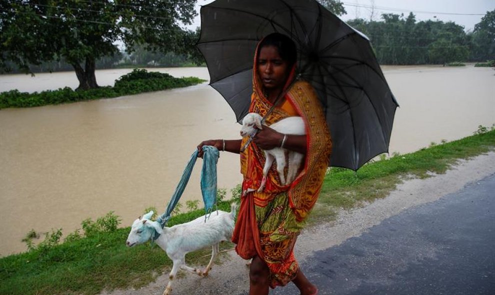 Una mujer lleva a dos cabras en medio de las inundaciones de la aldea de Topa en el distrito de Saptari, Nepal. EFE/EPA/NARENDRA SHRESTHA