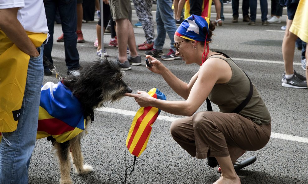Una mujer fotografía a un perro al inicio de la tradicional manifestación / EFE