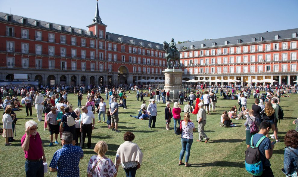 El Ayuntamiento de Madrid pone césped en la Plaza Mayor. / C.G