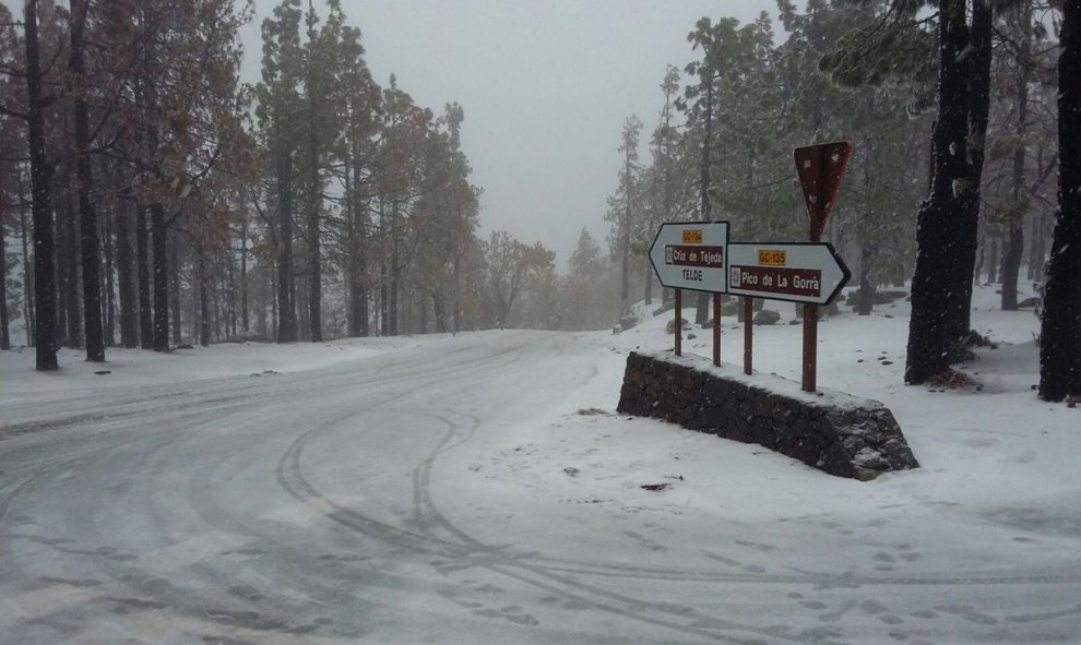 El acceso a la cumbre de Gran Canaria quedó cerrado este martes y se mantendrá así hasta una nueva valoración este miércoles. / Cabildo de Gran Canaria