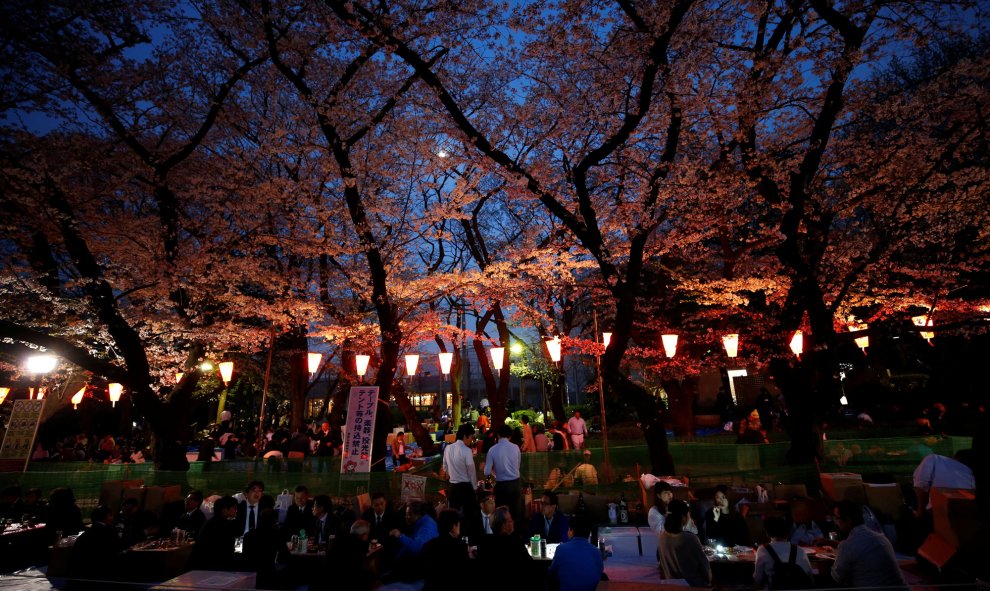 Empresarios y empresarias de Tokio disfrutan de comida y bebida bajo las flores de cerezo iluminadas en plena floración en el Parque Ueno en Tokio, Japón. REUTERS / Issei Kato
