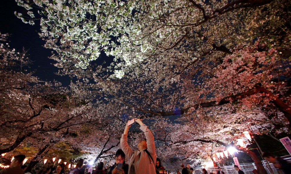 Un visitante toma una fotografía bajo flores de cerezo ilumina.- REUTERS / Issei Kato