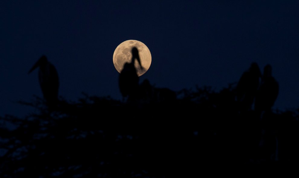 La luna de sangre, desde Nairobi, Kenia. REUTERS/Baz Ratner