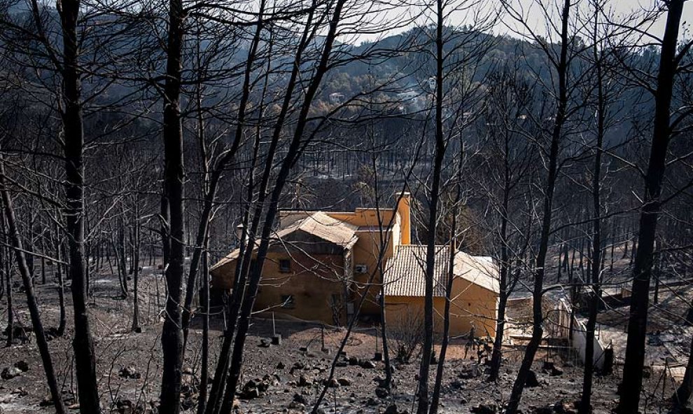 Urbanizaciones Montepino y Montesol afectadas por el incendio forestal de Llutxent, en Gandía. Greenpeace/Pedro Armestre