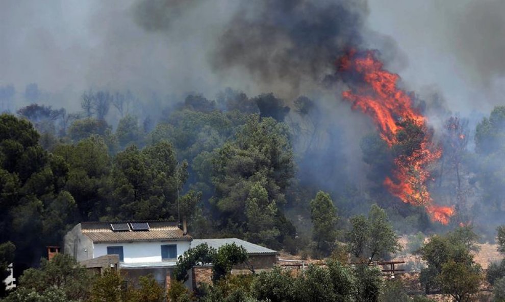 El incendio forestal que quema de Ribera d'Ebre sigue descontrolado y afecta ya a más de 6.500 hectáreas./ JAUME SELLART (EFE)