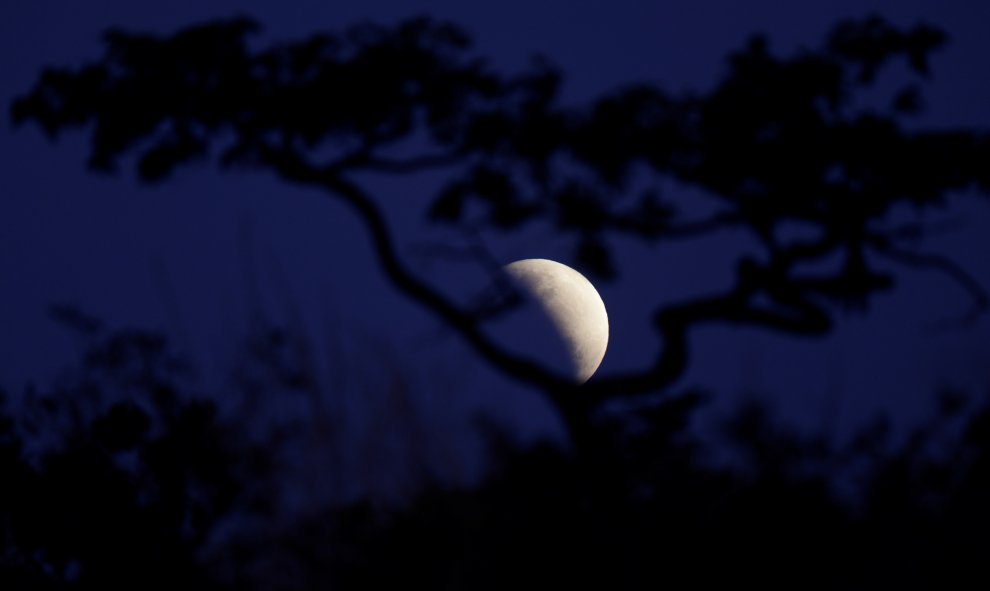 La luna durante un eclipse lunar parcial en Brasilia, Brasil, el 16 de julio de 2019. REUTERS / Ueslei Marcelino