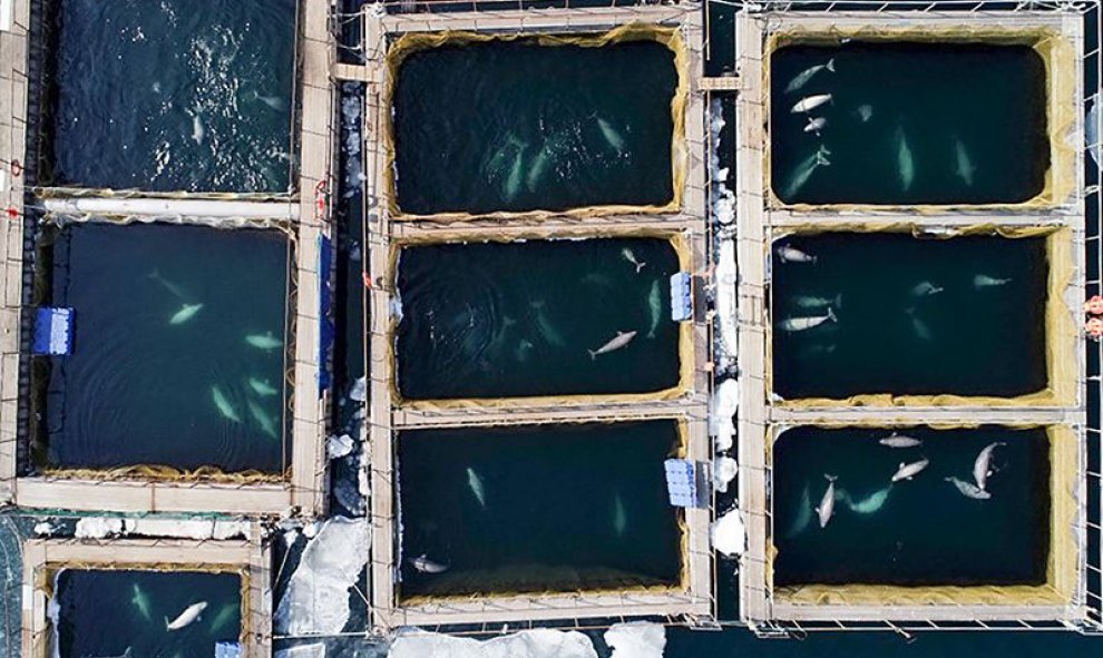 Vista de una cárcel de ballenas en China. Agencia de Noticias ITAR-TASS / Alamy