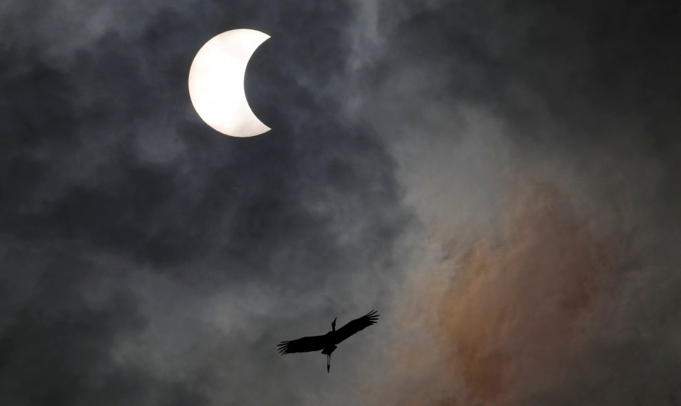 26/12/2019 - Un pájaro vuela durante el eclipse solar en Bangkok, Tailandia. REUTERS / Soe Zeya Tun