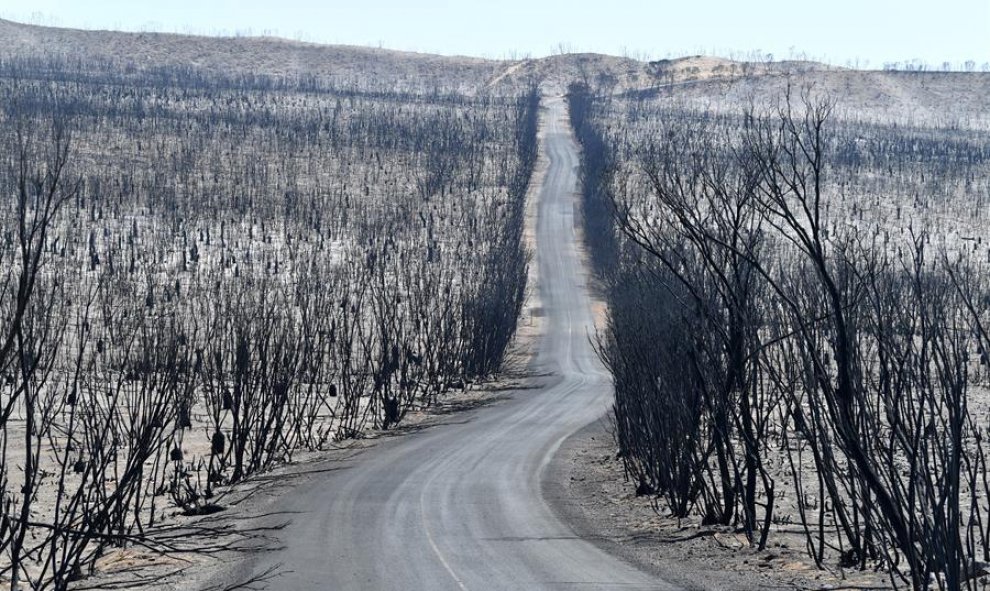 Vista del Parque Nacional Flinders Chase tras el incendio | EFE