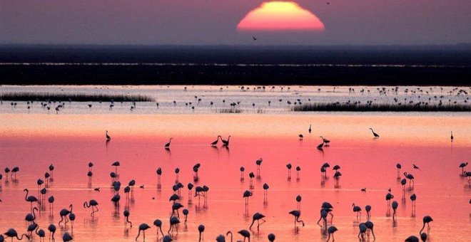 Un atardecer en Doñana.