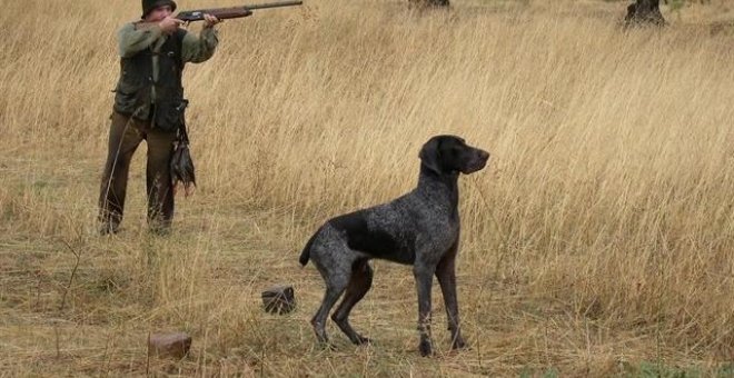 Críticas a la Junta de Castilla-La Mancha por excluir a los perros de caza de la Ley de Bienestar Animal. E.P.