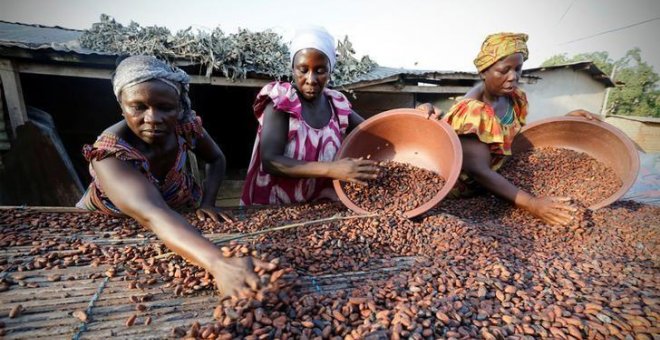Trabajadoras del cacao en Djangobo, Costa de Marfil. / REUTERS