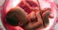 Ayer se aprobó desde el Parlamento británico el procedimiento reproductivo conocido popularmente como “el embrión de tres padres”. / National Geographic