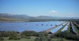 Paneles solares de Renovalia en Puertollano.