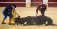 Veterinarios antitaurinos piden que estos profesionales dejen de implicarse en corridas de toros. EFE