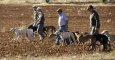 Galgueros en una jornada de caza. EFE/ Archivo