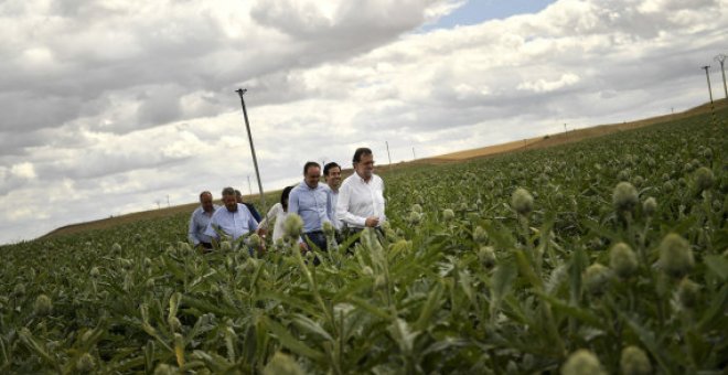 El presidente del Gobierno Mariano Rajoy, en una imagen de archivo facilitada por el PP.