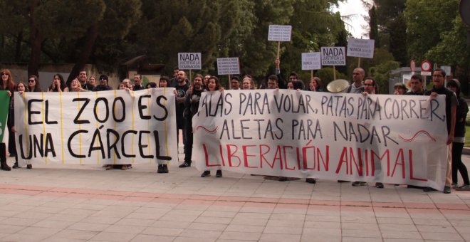 Protesta animalista