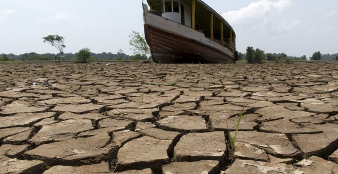 La sequía ha dejado así el río Amazonas a su paso por Manaus