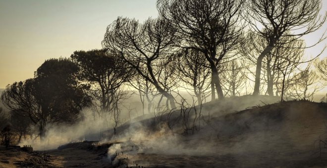 El paraje de la Cuesta de Maneli tras el incendio originado el sábado en Mazagon. EFE