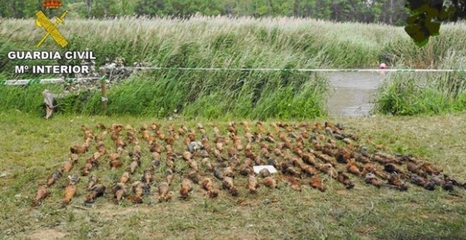 Arsenal de explosivos de la Guerra Civil hallado en el fondo del acuífero conocido como 'Los Ojos del río Jiloca' de Monreal del Campo (Teruel) /EUROPA PRESS