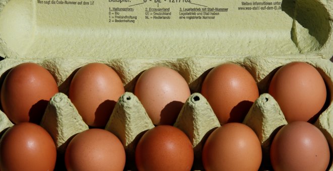 Cartón de huevos. REUTERS/Wolfgang Rattay
