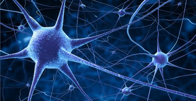 Los investigadores han identificado un conjunto de neuronas responsables de la detección de los cambios relativos al tono. FOTOLIA