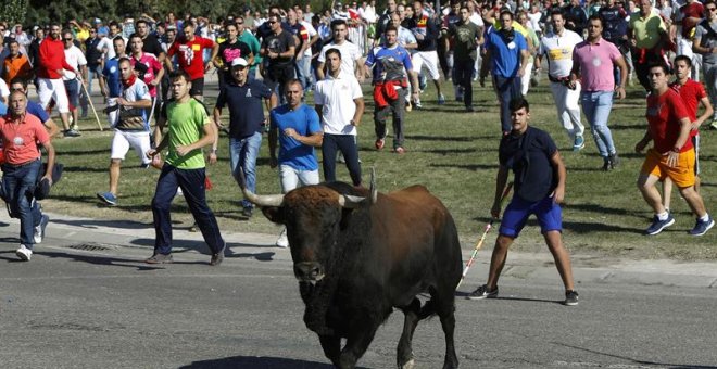 Toro de la Vega 2017 / EUROPA PRESS