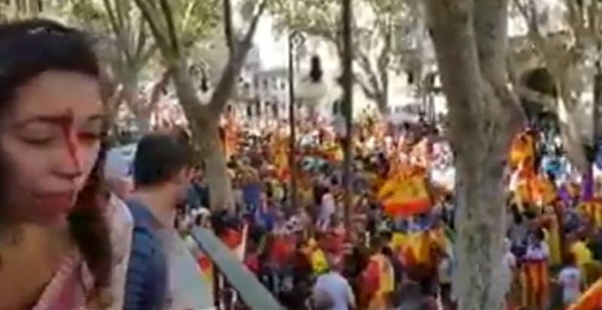 Captura del vídeo en el que aparece la mujer con la brecha tras recibir una pedrada en Palma de Mallorca.