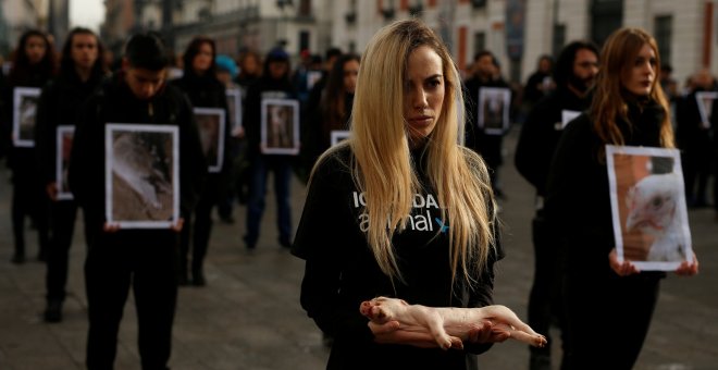 gualdad Animal denuncia el "terrible" maltrato de millones de animales en las granjas. REUTERS / Javier Barbancho