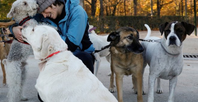 Los animales de compañía pasarán a ser considerados como "seres vivos dotados de sensibilidad". REUTERS