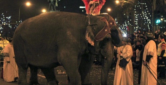 Dos elefantes en la cabalgata de Madrid en 2013. EFE