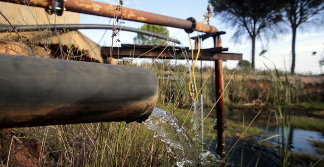 doñana-robo-agua