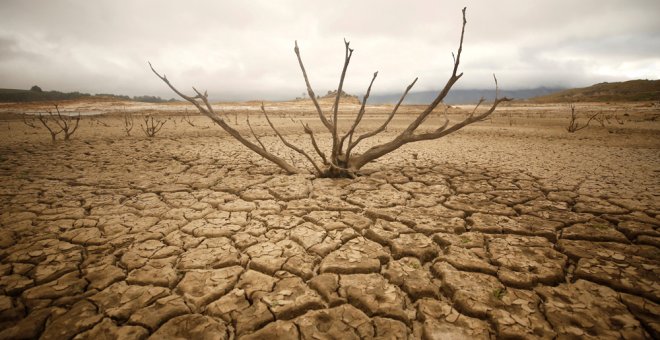 El embalse de Theewaterskloof, cerca de Ciudad del Cabo, completamente seco. REUTERS