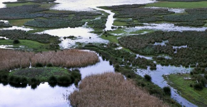 Vista del Parque Nacional de Doñana. EFE