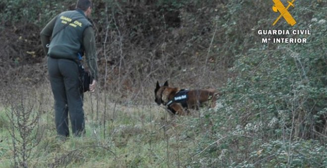 Agente de la Guardia Civil junto a un perro rastreando la zona . GUARDIA CIVIL