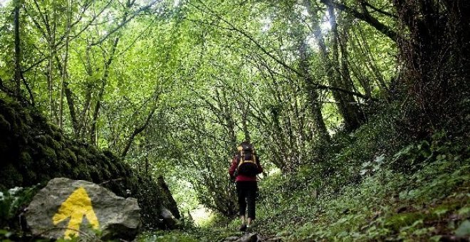 Peregrina en el Camino de Santiago. / EFE